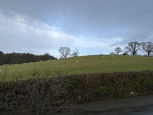 Photo 23- click for photo gallery